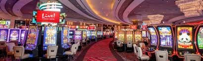 Kawin77 studio live casino dengan dealer cantik dan streaming HD berkualitas tinggi tanpa lag